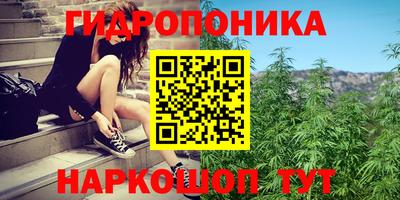стаф Кинель
