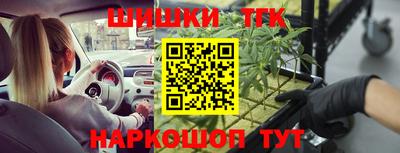 стаф Кинель