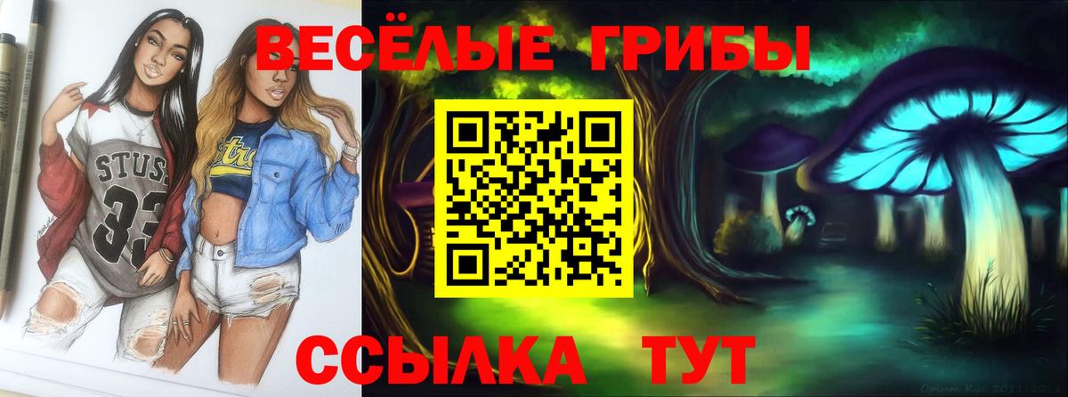 Лабинск  Галлюциногенные грибы прущие грибы  где найти   Вход с VPN  Галлюциногенные грибы Psilocybine cubensis 